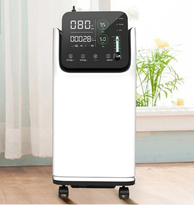 맞춘 가정 산소 집선장치 220v 병원 O2 발전기