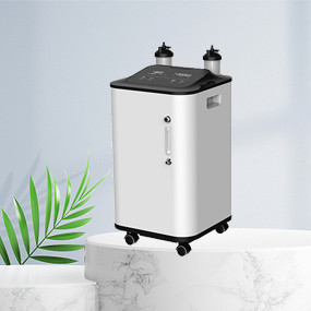 10 인치 디스플레이 큰 흐름 10L 산소 발생기 가계 저소음